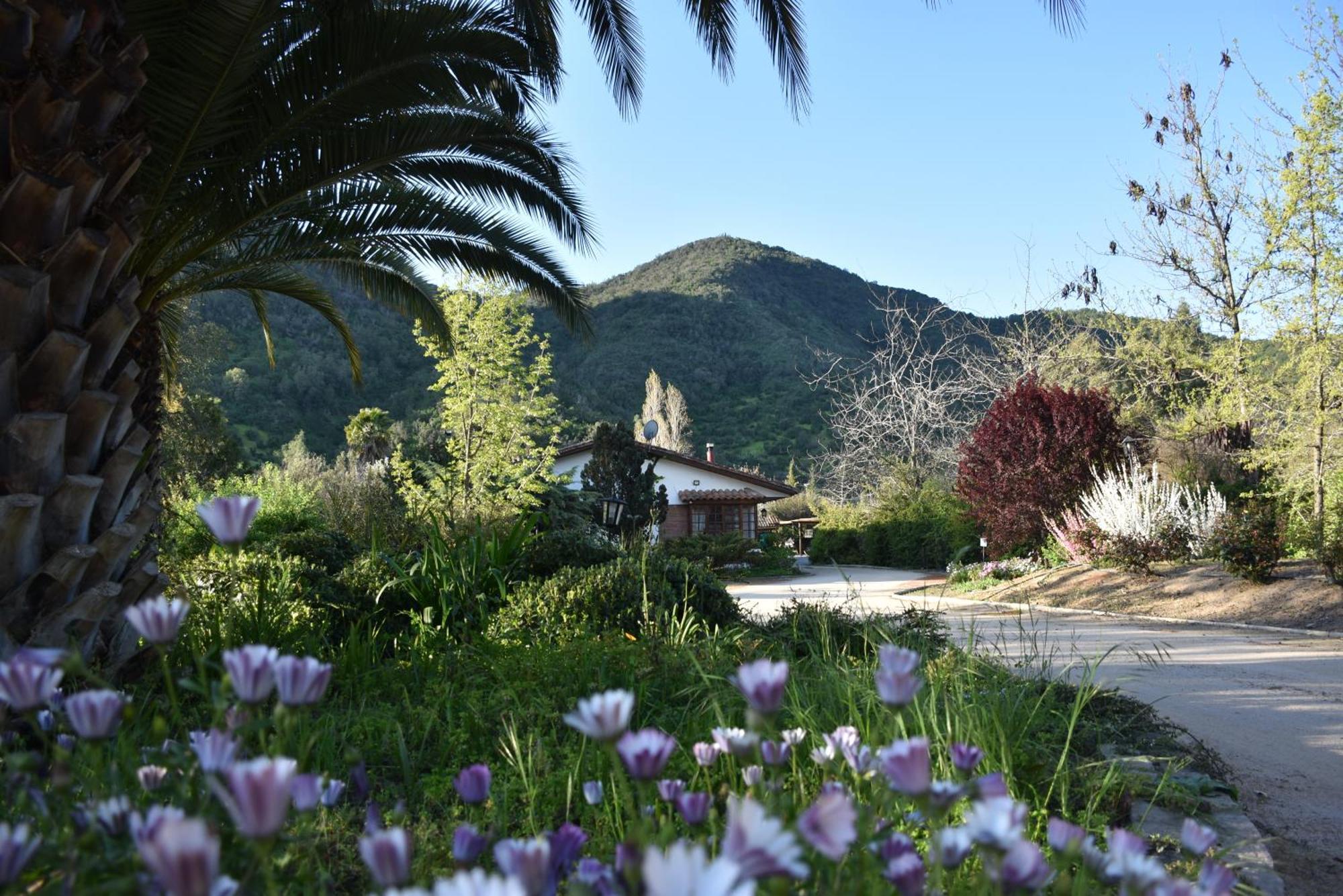 Hotel Boutique Solaz Bella Vista de Colchagua Santa Cruz Extérieur photo
