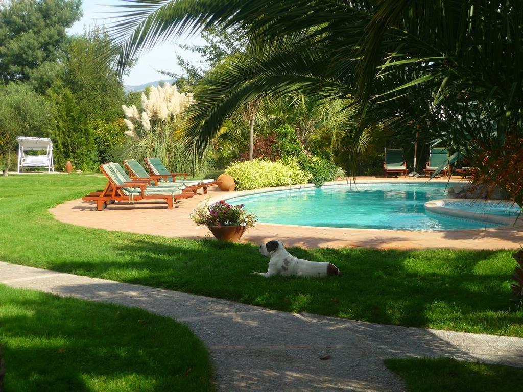 Hotel Boutique Solaz Bella Vista de Colchagua Santa Cruz Extérieur photo